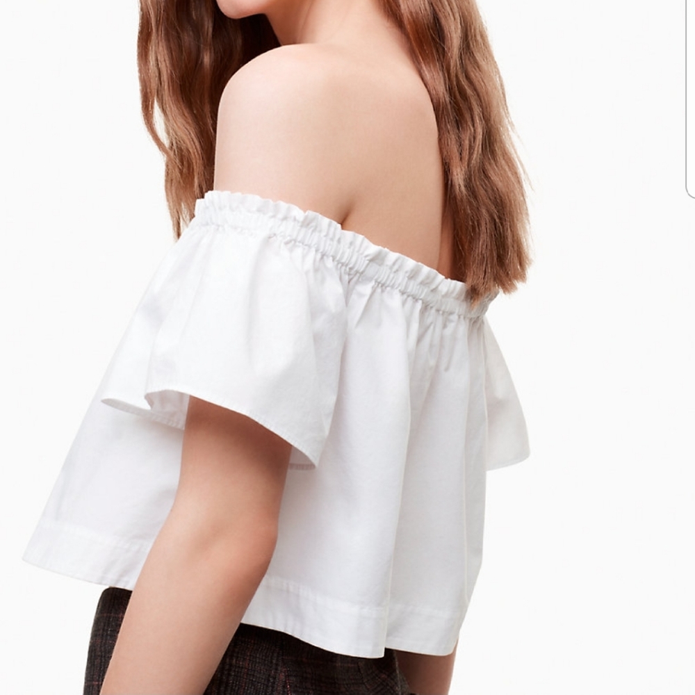 Aritzia Wilfred top